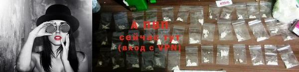 кокаин Белокуриха