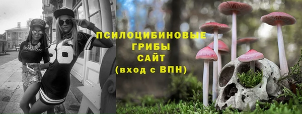 СК Беломорск